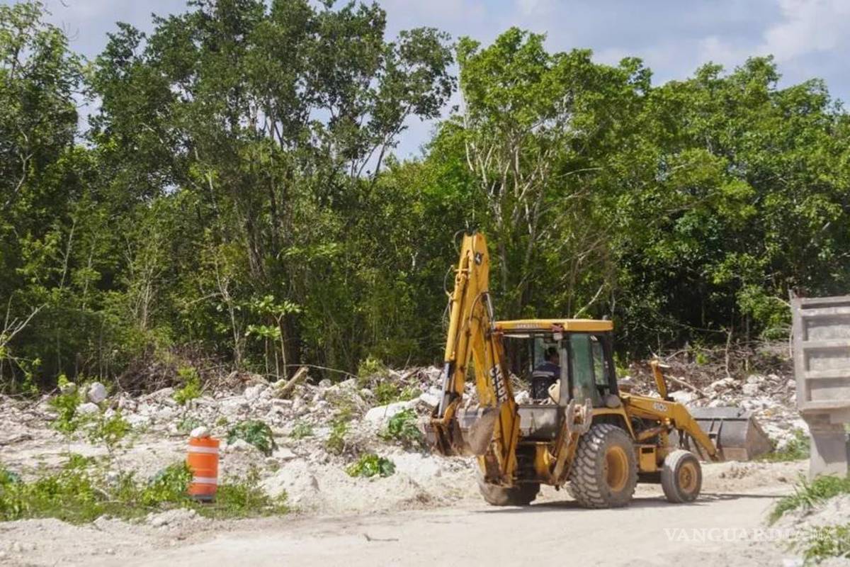 Para Tren Maya, AMLO expropia 36 inmuebles