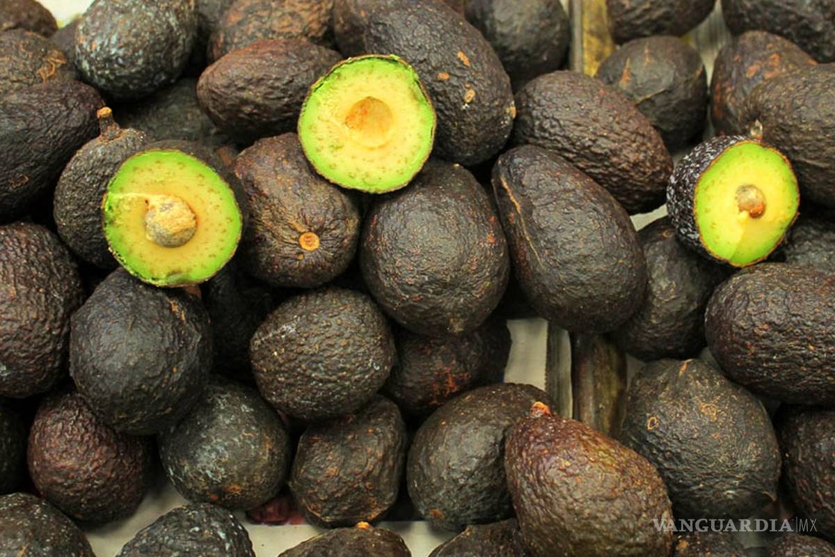 Robo de camiones encarece el aguacate en México