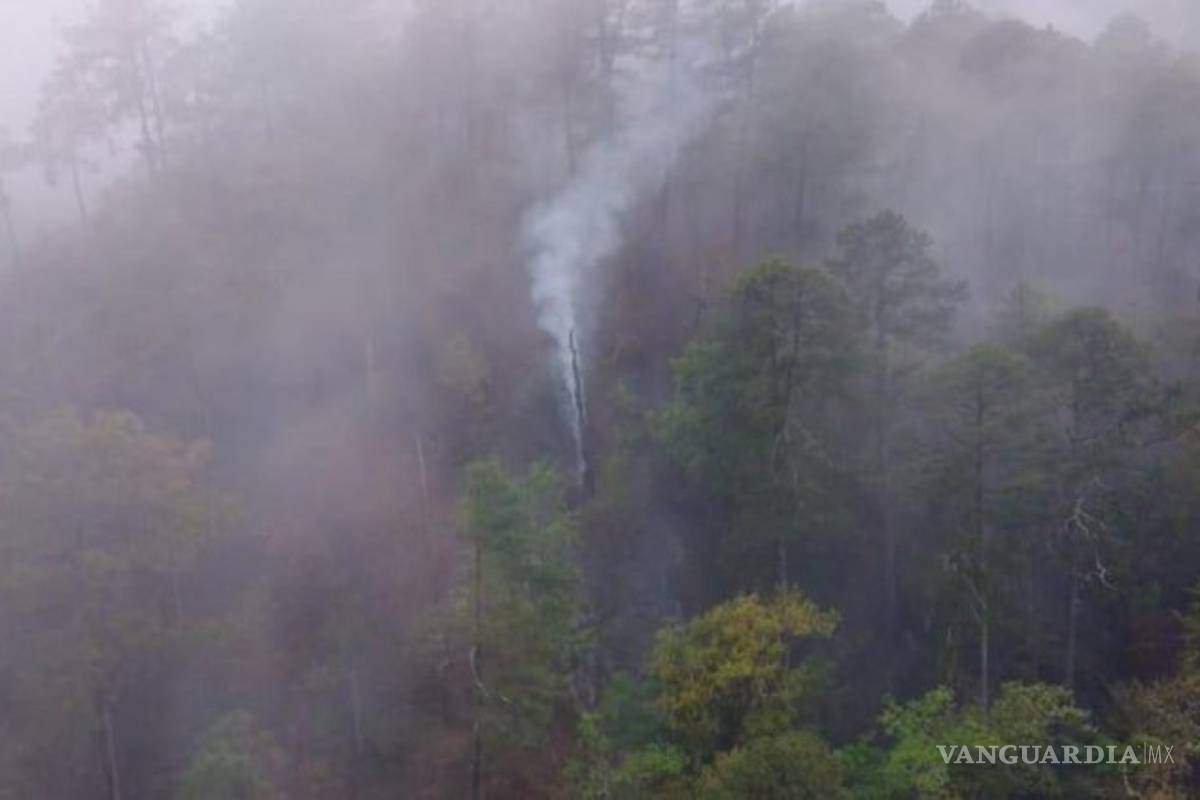 AMLO dice que se bombardearon nubes para que lloviera y así apagar incendio en NL