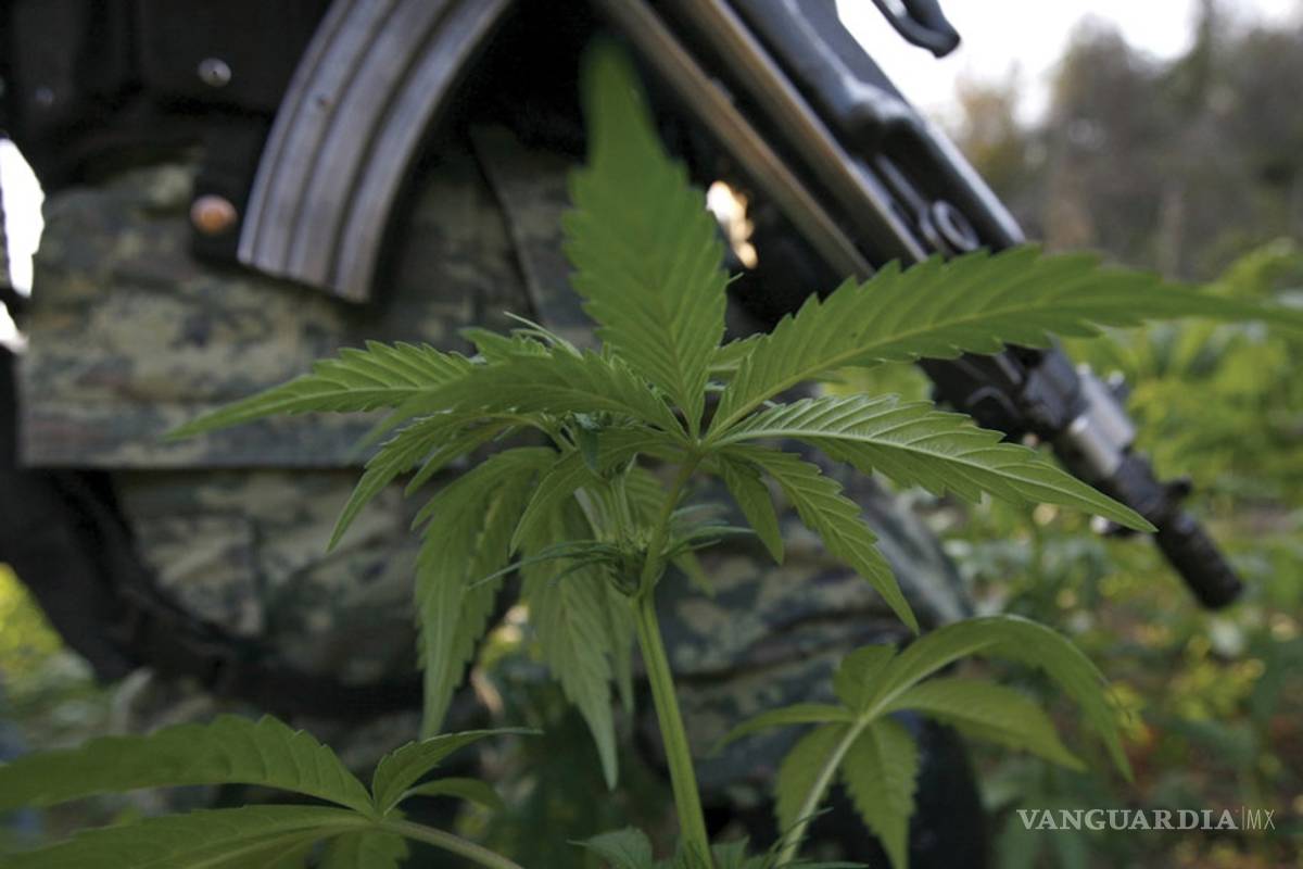 $!Esto es lo que gana un sicario al servicio de 'El Mencho' en el Cártel Jalisco Nueva Generación (video)