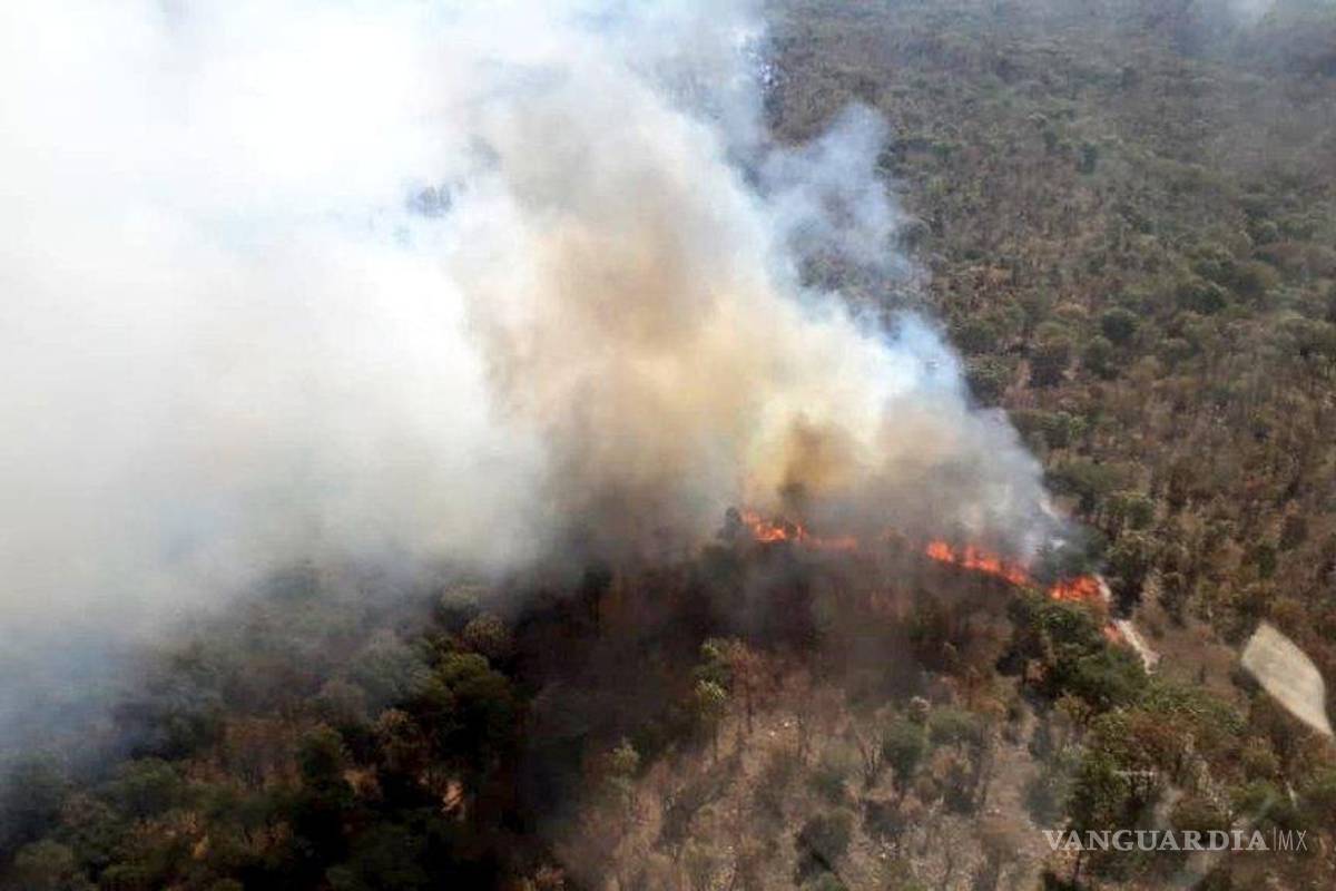 Nuevo incendio en La Primavera consumió casi 2 mil hectáreas