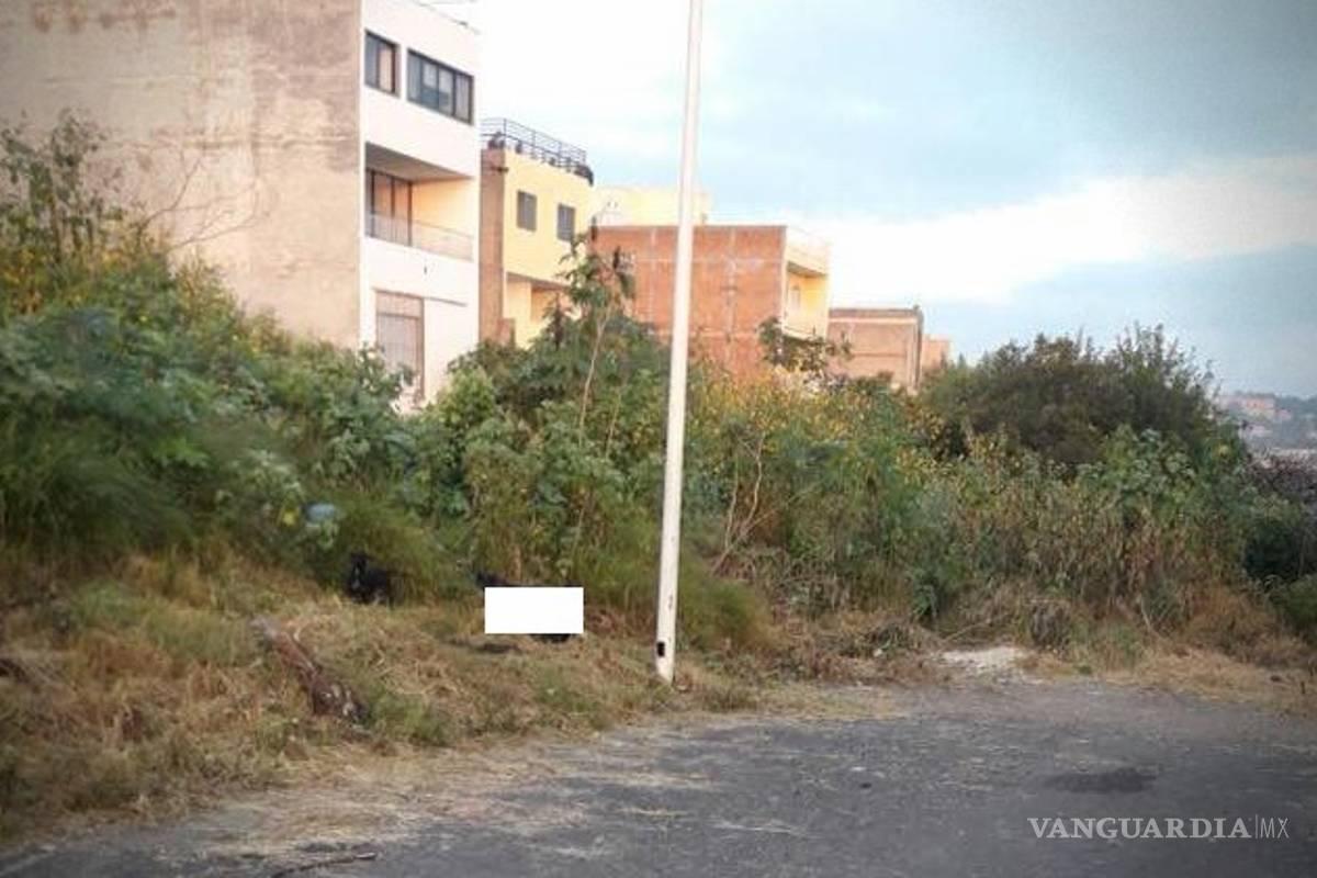 A metros de la Policía dejan el cadáver desollado de una mujer, habría sido violada