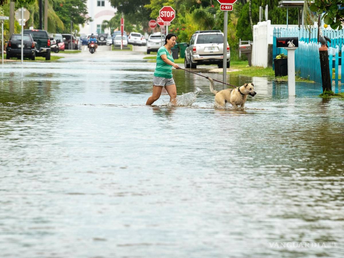 $!Un perro camina a través de las aguas de la inundación mientras sube la marea en Key West, Florida.