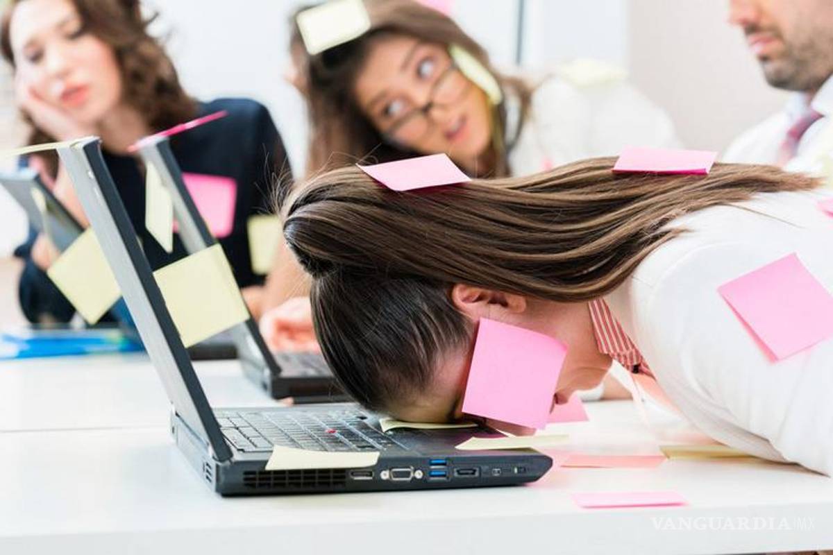 Estudiantes del Tec de Monterrey crean gomitas para reducir el estrés