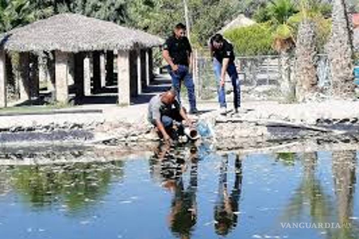 Ignoran causas de muerte de peces en el balneario “Juan Guerra” de Viesca