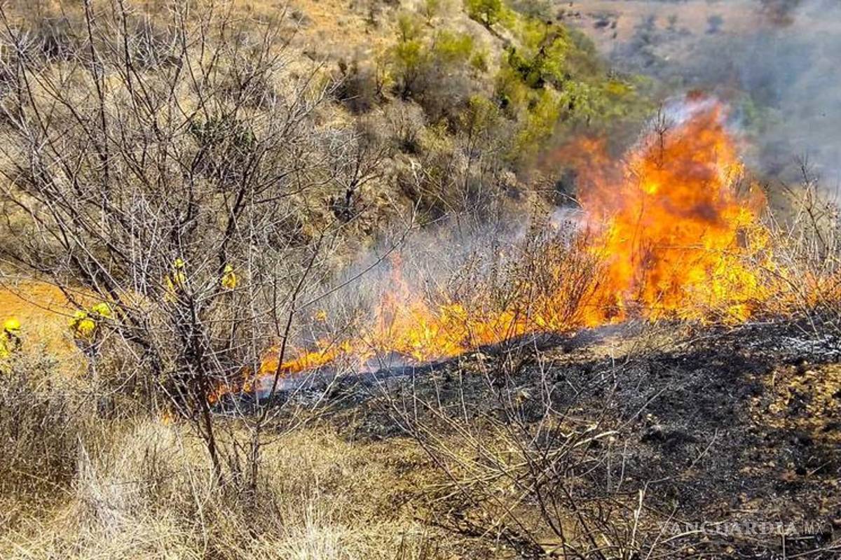 Conafor tendrá 50% menos presupuesto contra incendios
