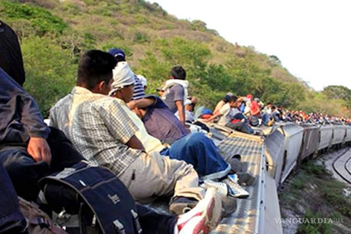 Detienen a 53 migrantes guatemaltecos en Veracruz