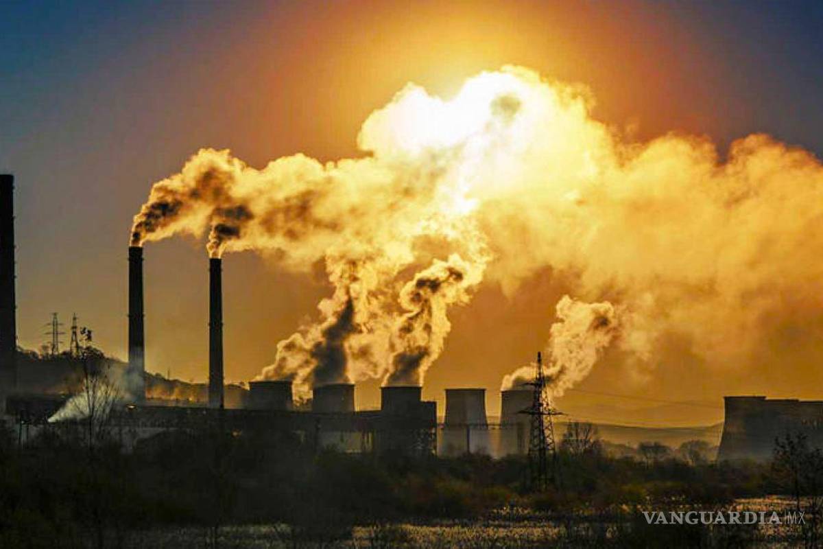 Torreón: ‘Nos dirigimos a un suicidio colectivo si no reducimos emisiones’: Dávila Flores