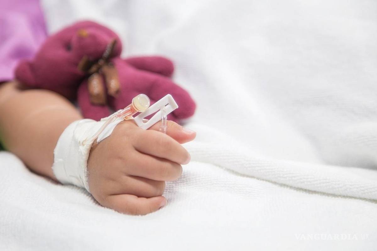 Casos de rabia en Oaxaca: confirman contagio en los tres niños mordidos por murciélago