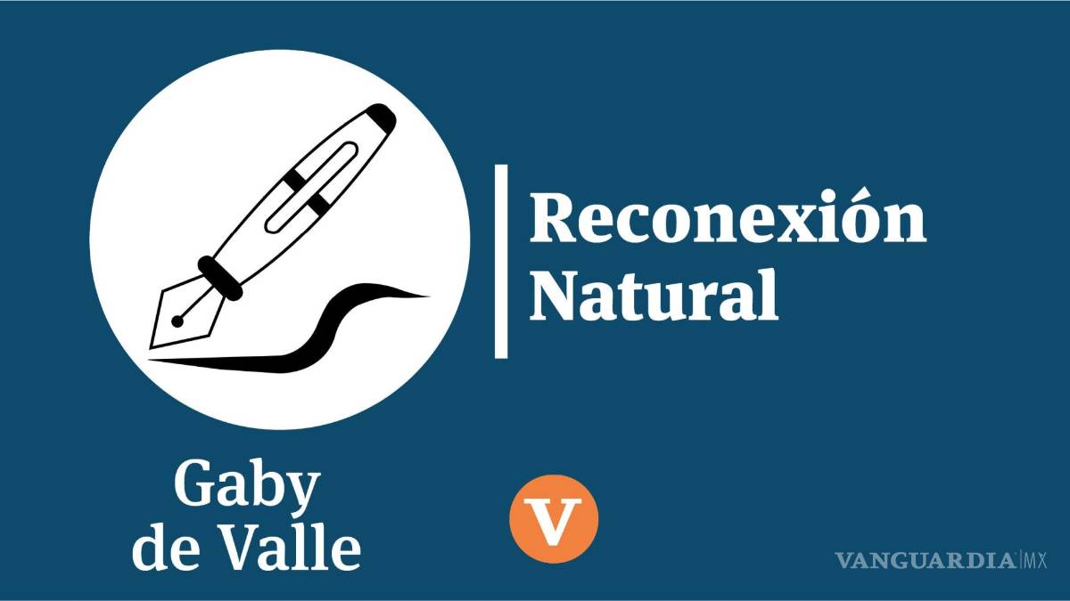 Pirotecnia, entre la celebración y los contaminantes