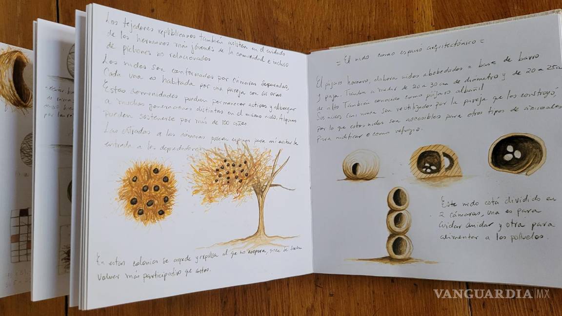 $!Origen y transformacion, Libro de artista, Mar Gasca Madrigal, 2020.