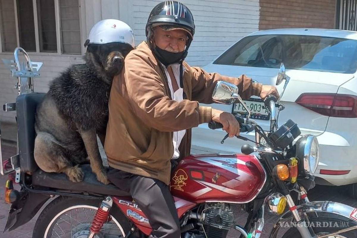 Fallece ‘Oso González Chopper’, el querido perrito motociclista de Saltillo