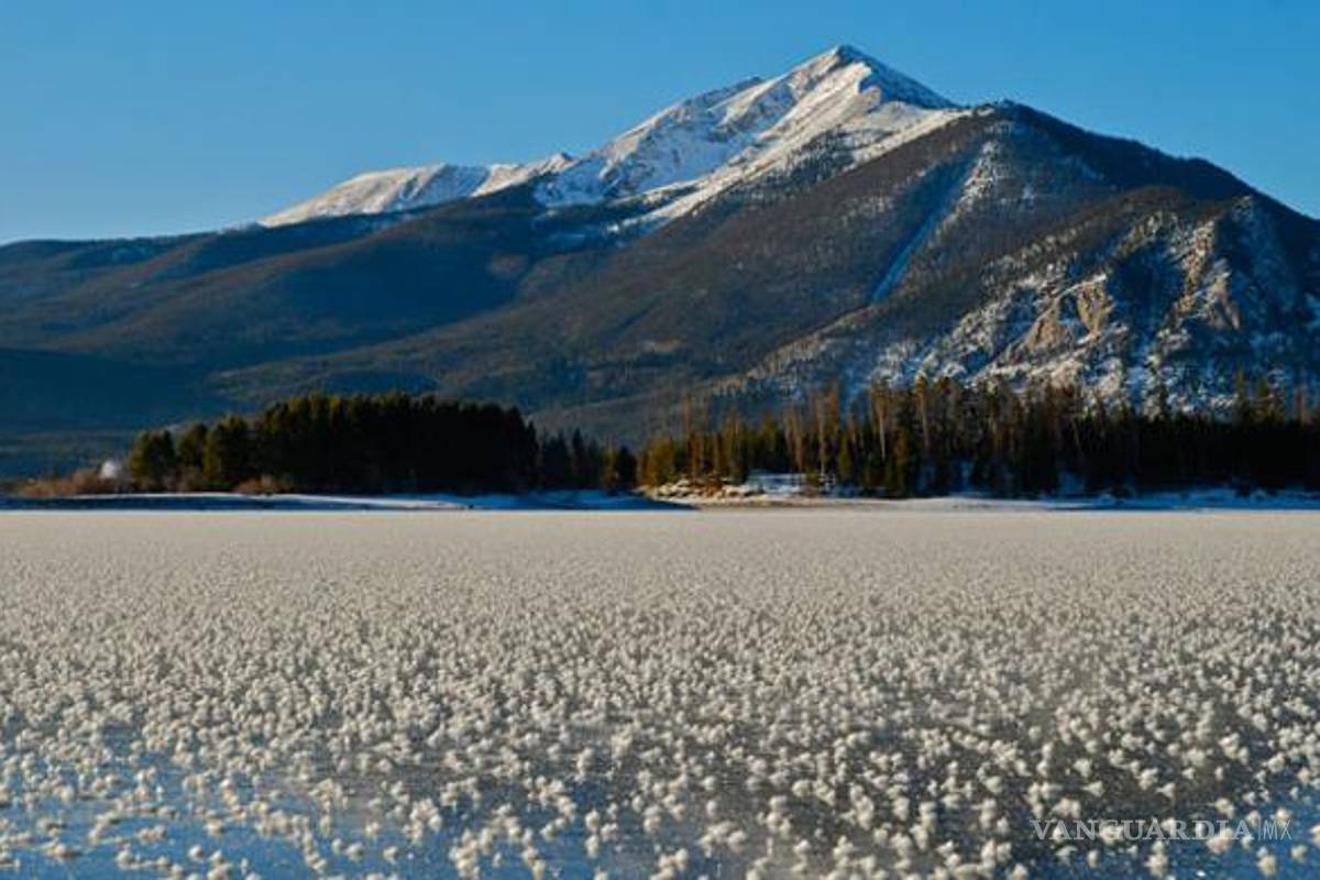 El extraordinario caso de las "flores de escarcha" o "flores de hielo"