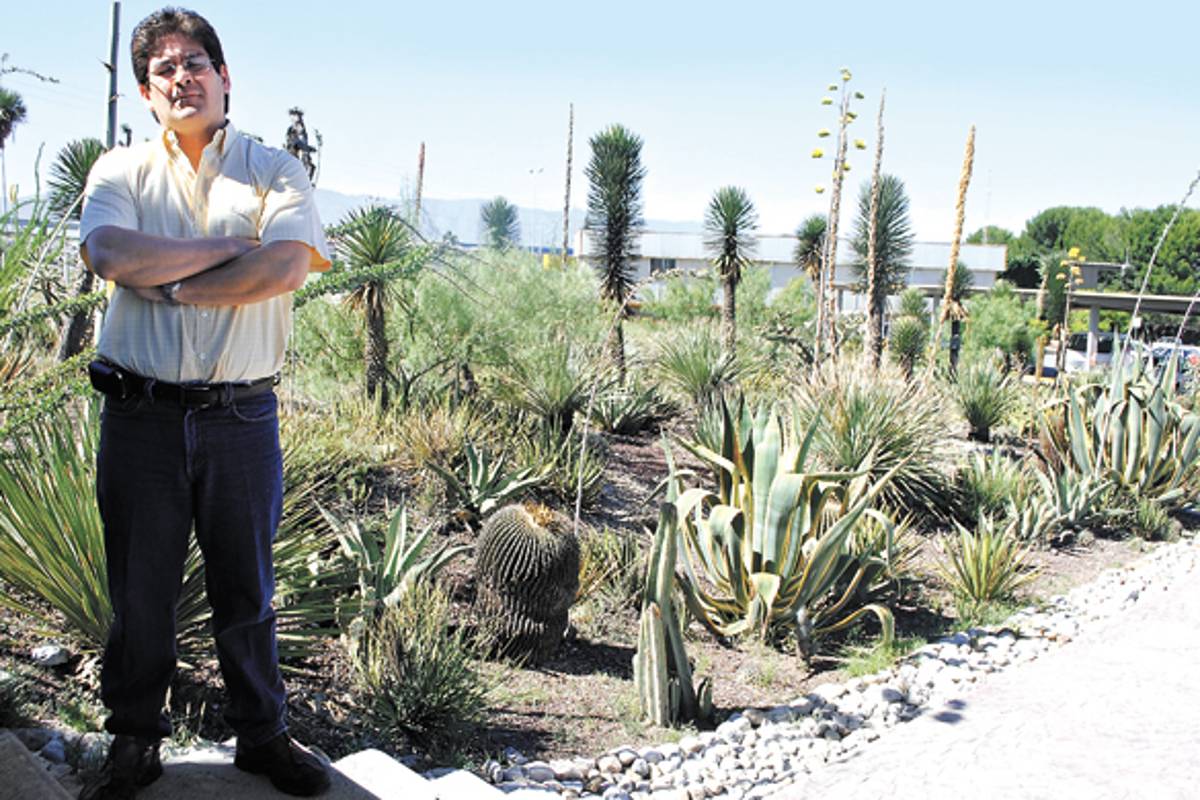 En Saltillo, científicos crean cemento ecológico con vidrio de desecho