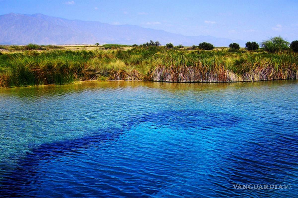 Encuentran en Cuatro Ciénegas 'Origen de la vida'