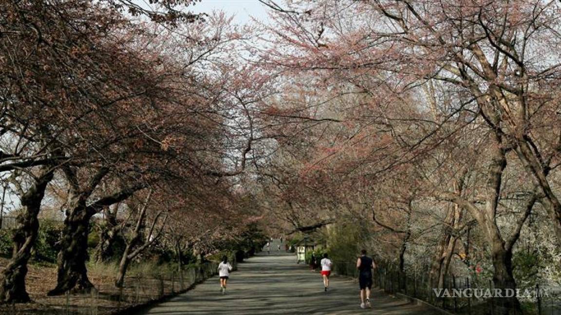 Central Park prohíbe la entrada de vehículos tras décadas de reivindicaciones