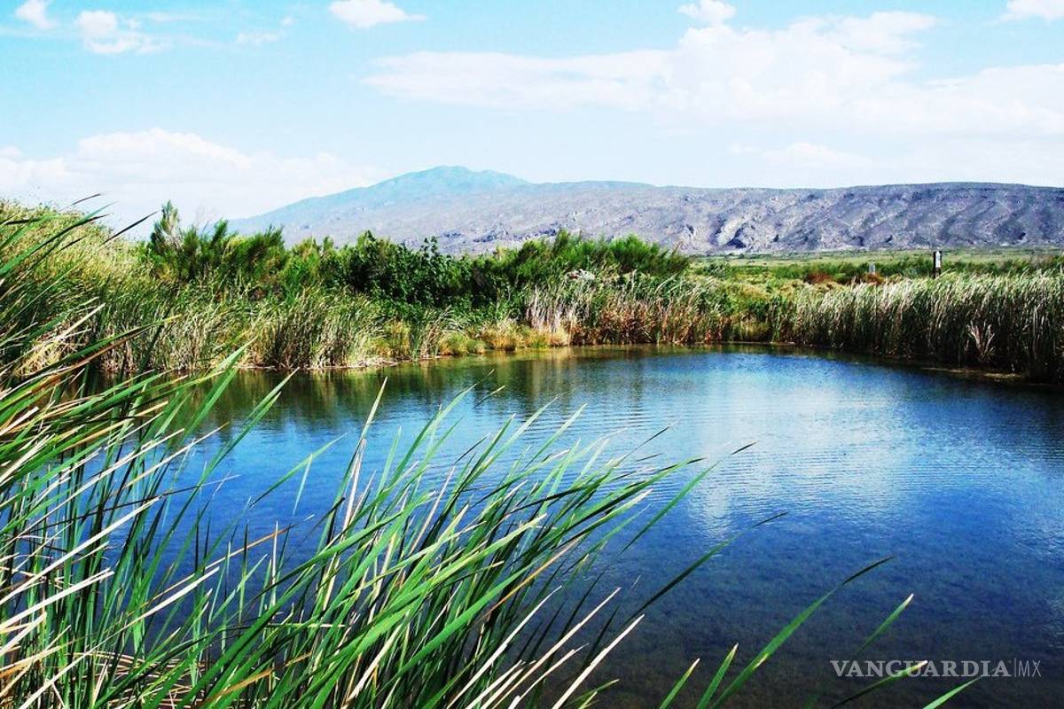 Piden donaciones para rescatar y cerrar canal de Saca salada en Cuatro Ciénegas