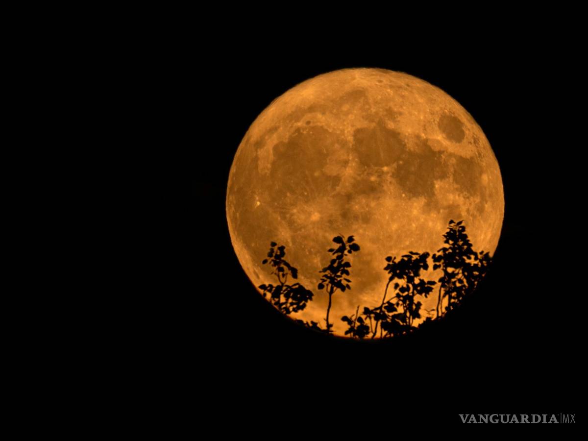 $!Superluna vista este jueves desde Logroño. La luna llena de julio llamada también Superluna de ciervo.