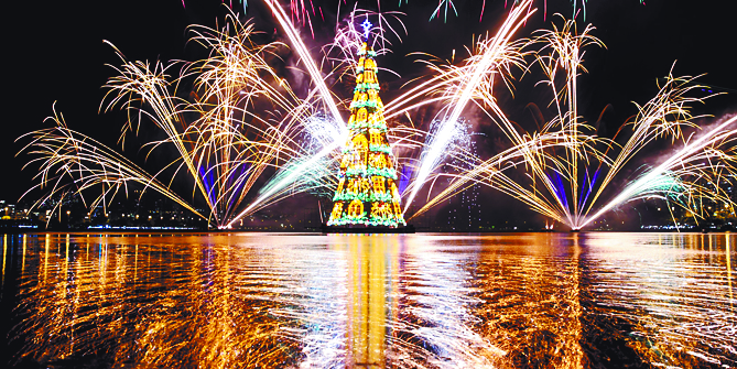 $!El árbol de Navidad, la estrella de las fiestas