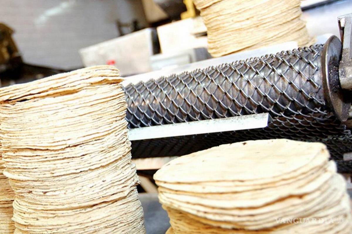 ¿Volverán a subir las tortillas?... Tortilleros lanzan advertencia de nuevo aumento en el precio en este 2023