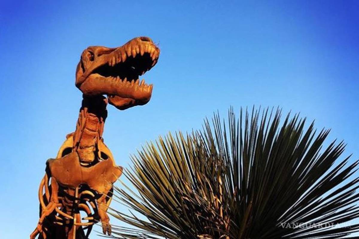 Coahuila fortalecerá el Turismo de Convenciones ante COVID-19