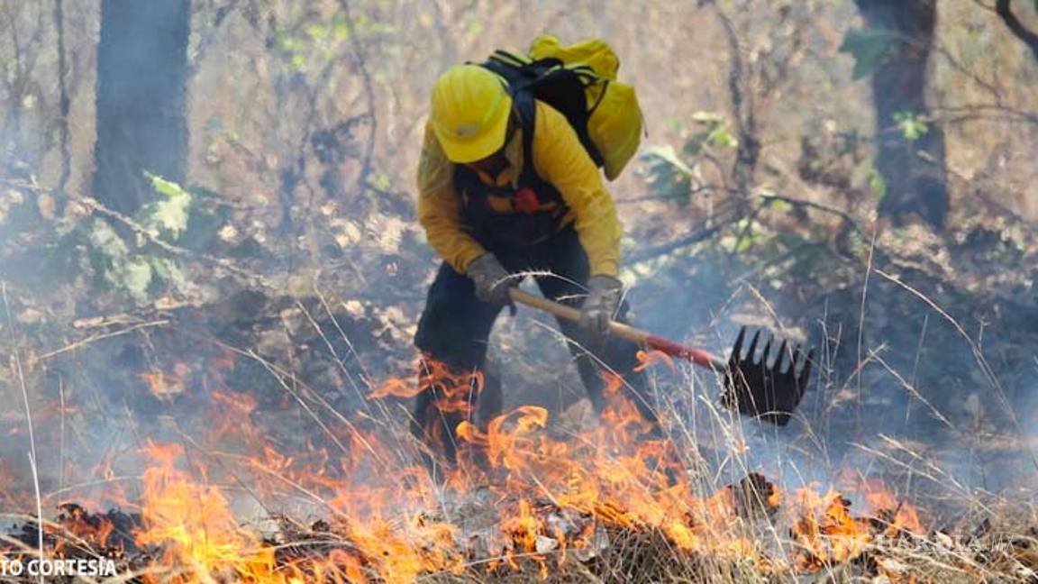$!Grave daño al medio ambiente... incendios consumen hasta 2 mil hectáreas de la reserva Sian Ka´an, en Quintana Roo