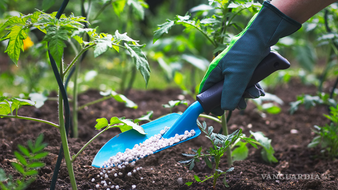 Fertilizantes se encarecerán 13% por guerra en Ucrania, alimentos sufrirían impacto, advierte la FAO