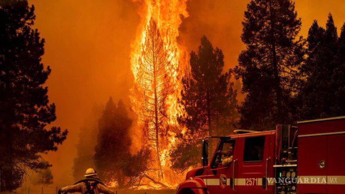 Fuego ya ha arrasado 5 mil 700 hectáreas en California