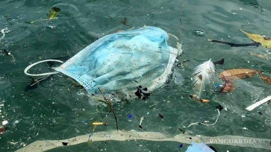 $!Se usan 129 millones de cubrebocas y 65 mil millones de guantes ¡al mes!