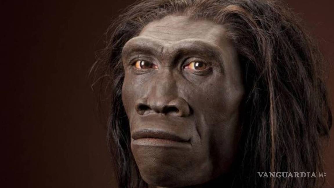 La pereza mata; el Homo erectus pudo extinguirse al regirse por la ley del menor esfuerzo