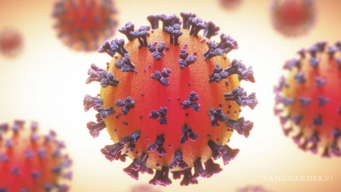 $!¿Qué es el Modelo Centinela?... el escudo de México contra el coronavirus que estimó 26 mil 519 contagios