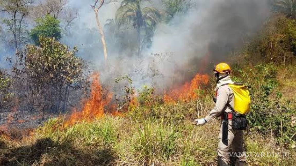 Detenidos 3 posibles responsables de incendio del Amazonas en Brasil