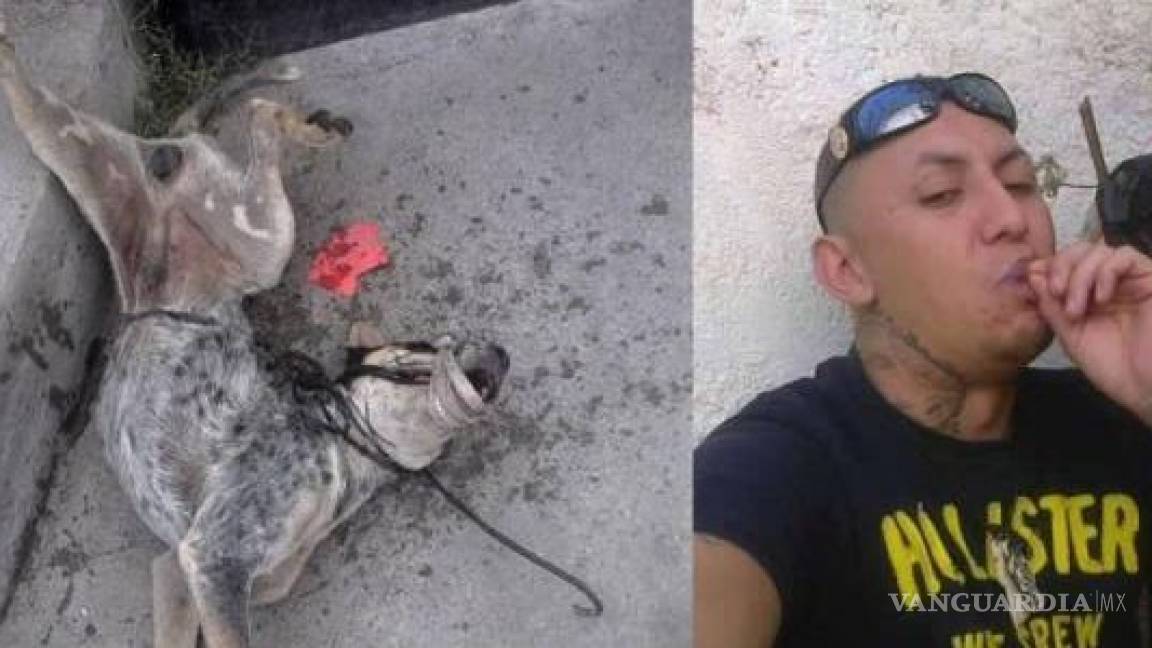 Indignación en Coahuila por video donde monclovense presume asesinato de un perro