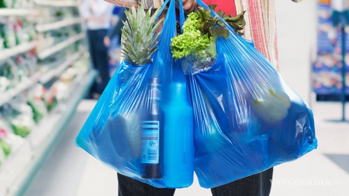 Eliminación de bolsas de plástico en comercios, propone PVEM