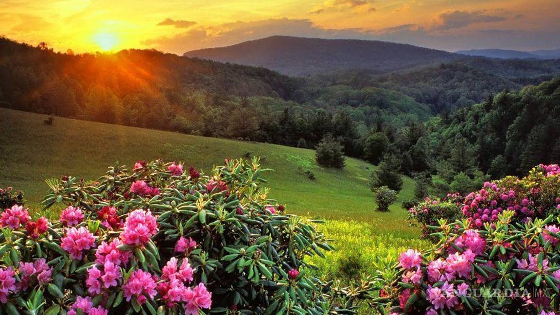 $!Así será el fin del mundo según la ONU... ¡y ya tiene fecha!