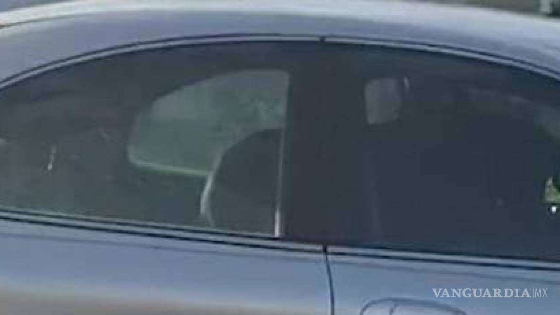 Perro al volante conduce el carro de su dueño tras olvidarlo en el auto