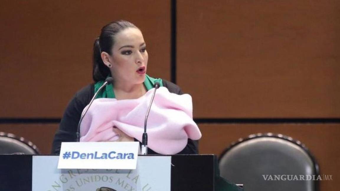 PAN exige a Muñoz Ledo que se disculpe con senadora