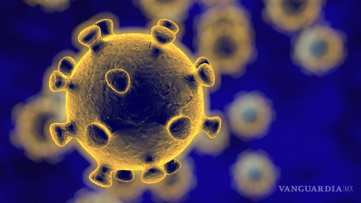 ¿Cómo el coronavirus se ira a tiznar a su madre?