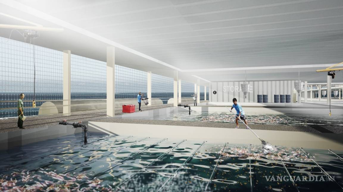 $!¡Granjas que flotan!, abren las puertas a una producción agropecuaria sostenible