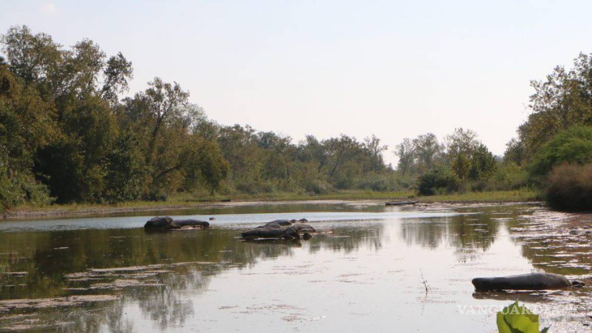 Sequía y gasto de presas impacta ecosistema: Amigos del Río San Rodrigo