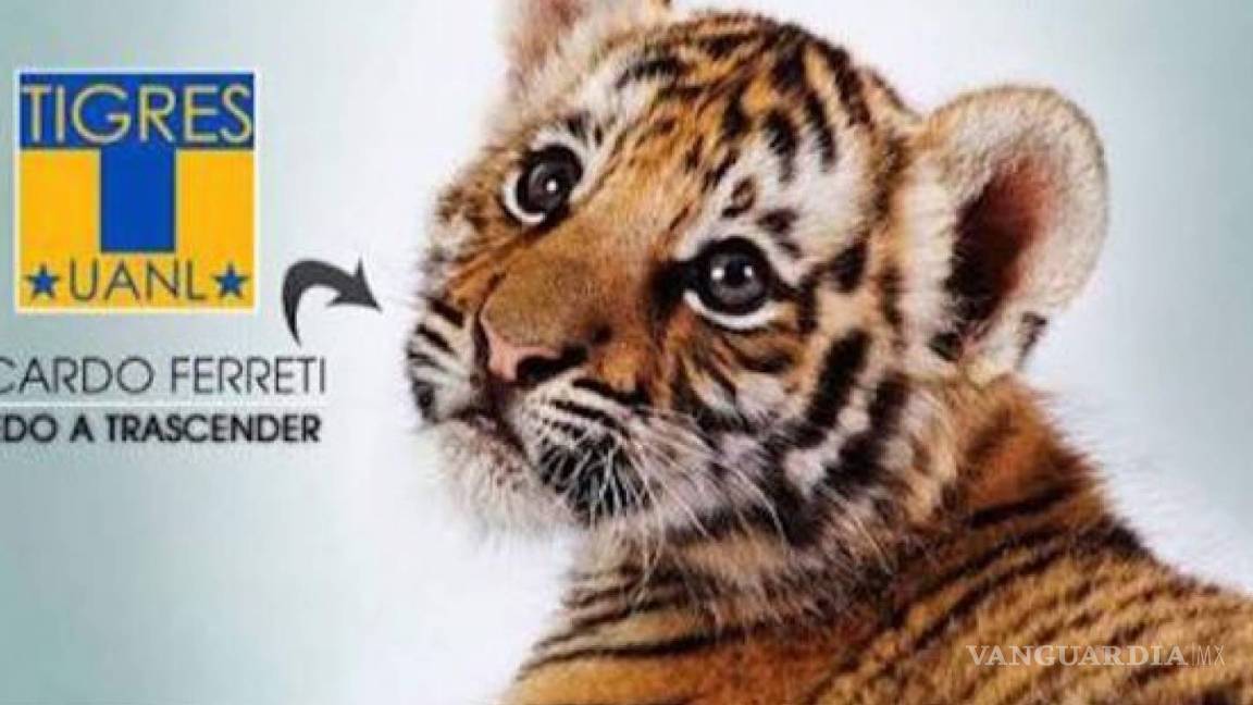 $!Los memes de la eliminación de Tigres por el Zacatepec