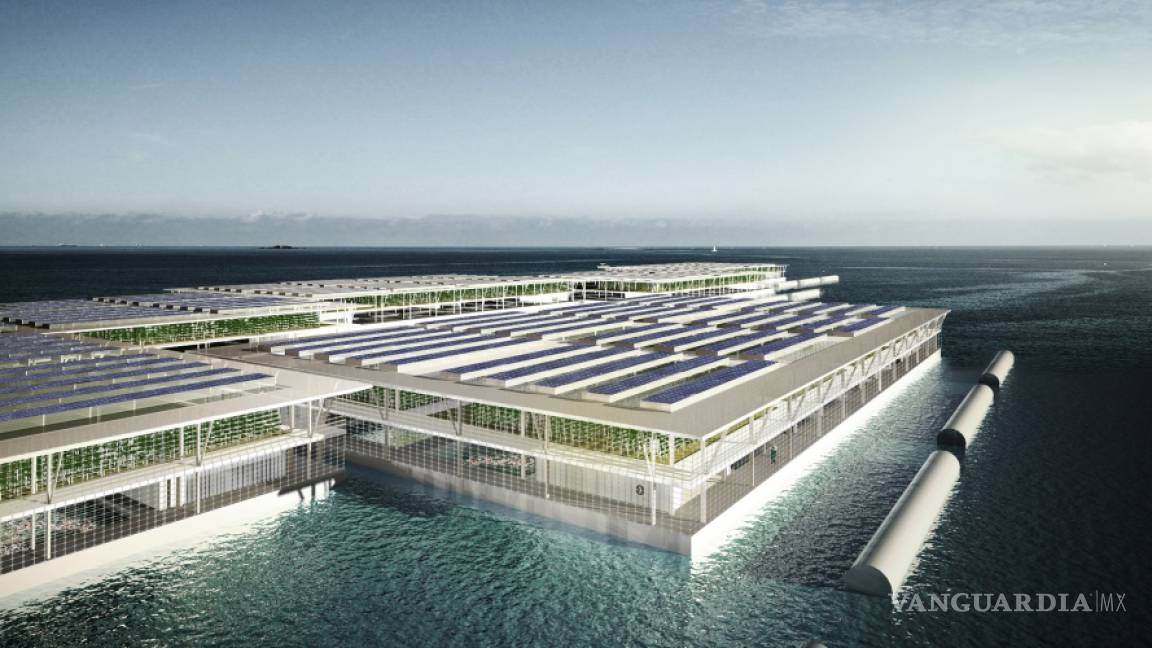 $!¡Granjas que flotan!, abren las puertas a una producción agropecuaria sostenible