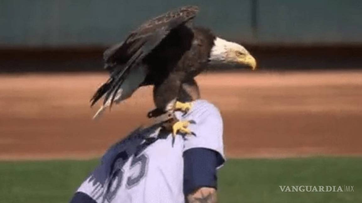 Águila 'ataca' a jugador de beisbol