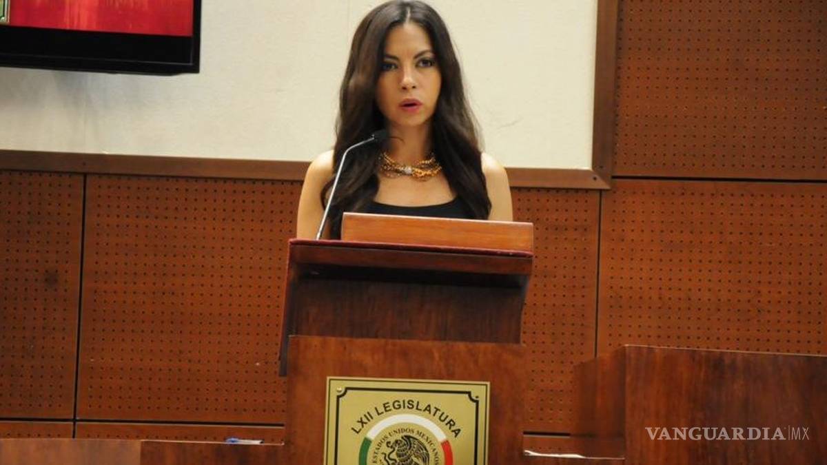 Diputada de Zacatecas busca evitar violaciones ¡cercando casas con malla!