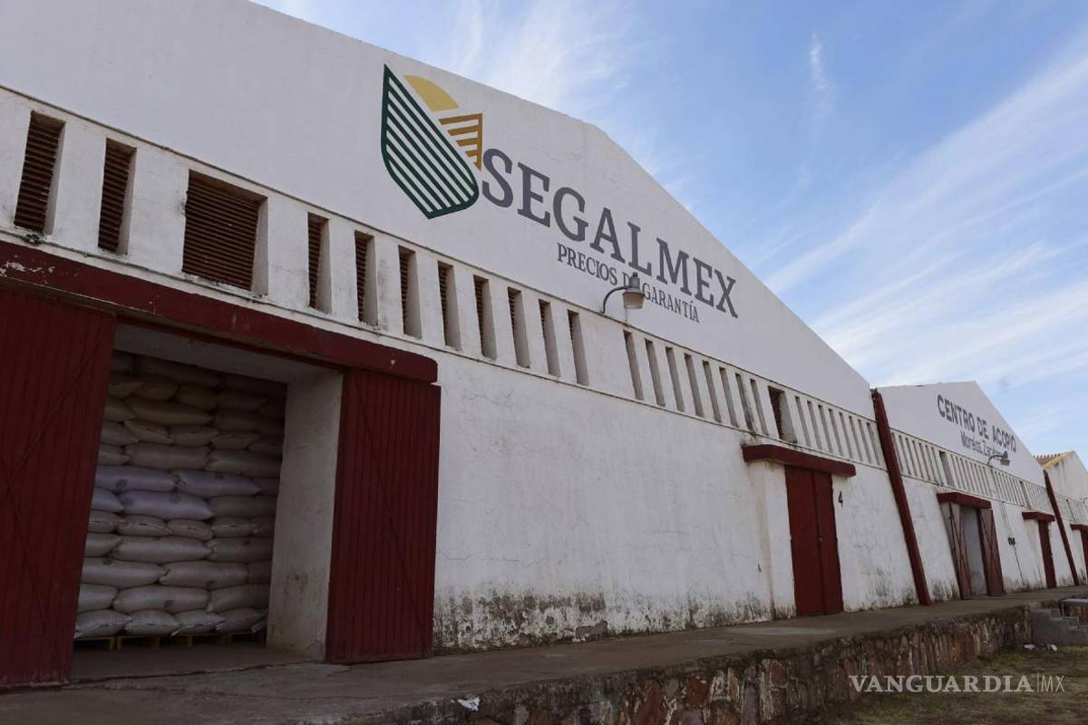 Gobierno de Sheinbaum dio 9 mdp a empresa usada por Segalmex para desviar fondos federales