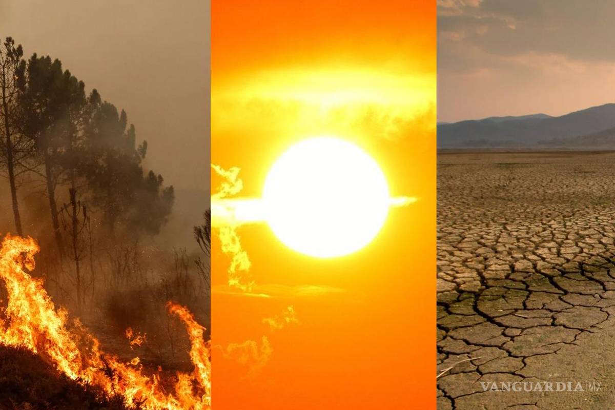 ‘El colapso climático ha comenzado’... advierten expertos que este verano fue el más caluroso desde hace 120 mil años