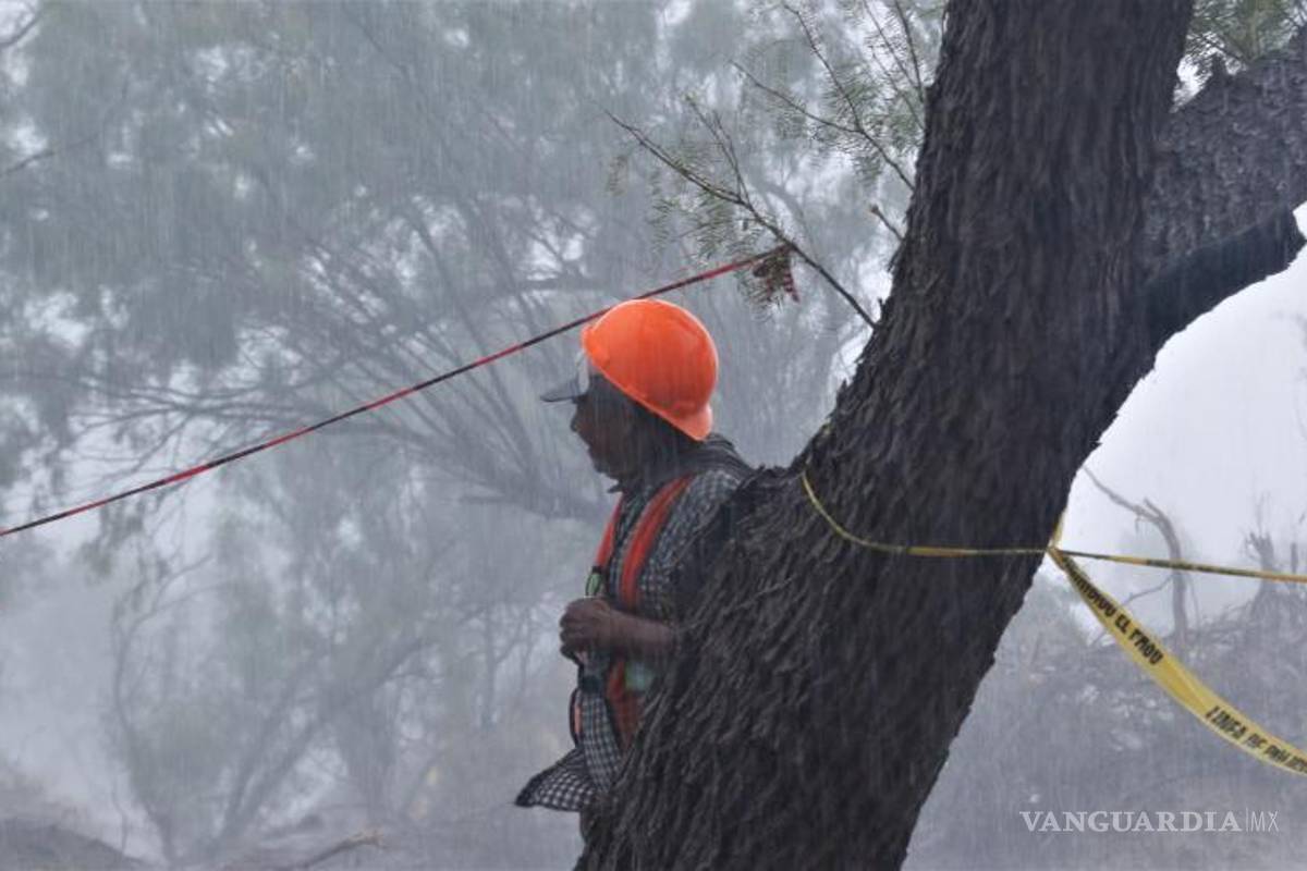 Bartlett es responsable por tragedia en mina ‘El Pinabete’: vocero de AHMSA