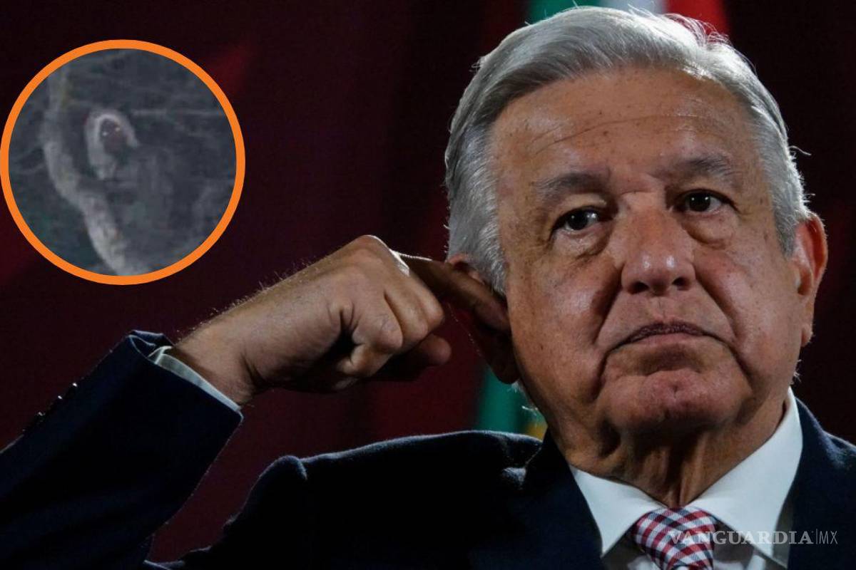 ‘Chamaquean’ a AMLO; comparte foto falsa de supuesto ‘aluxe’ en obras del Tren Maya
