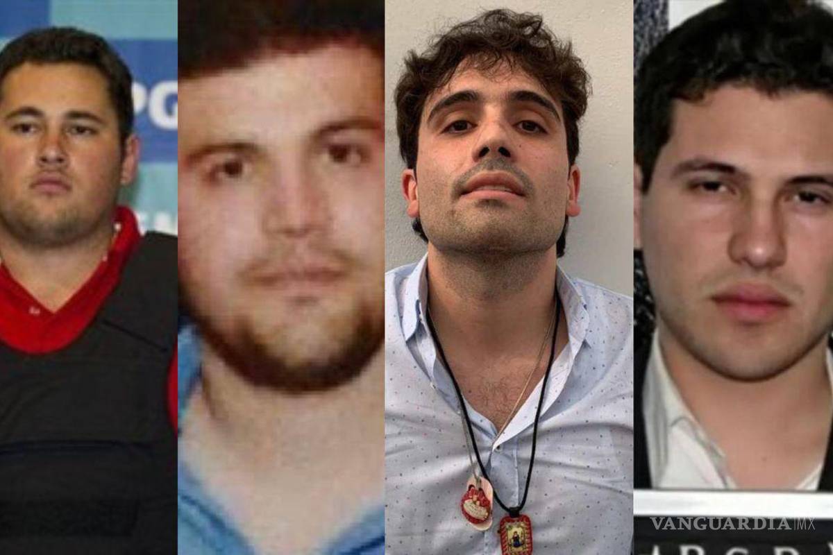 ‘Chapitos’ temen tras extradición de Ovidio; exfuncionario de la DEA asegura que intentan ‘ganarse al público’