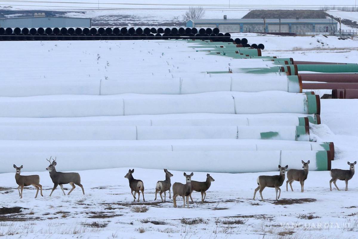El polémico oleoducto Keystone XL supera el último obstáculo para su construcción